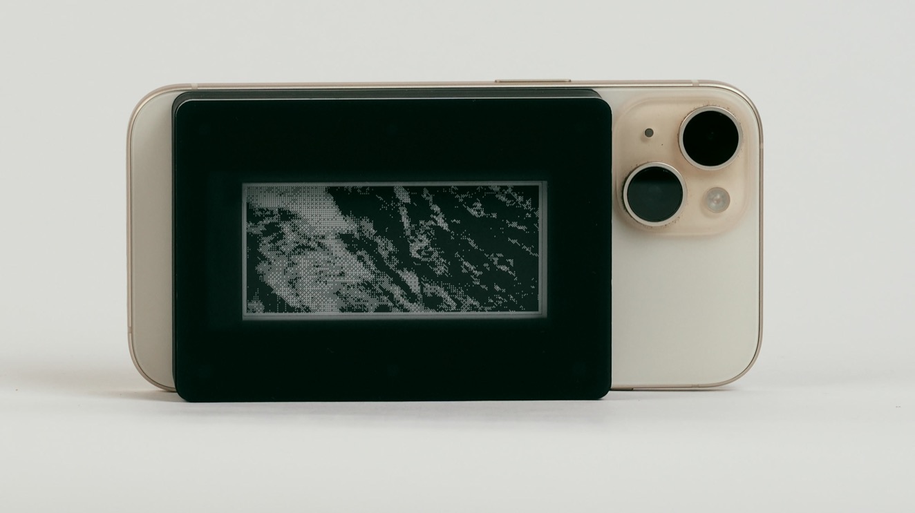 Remora attached to the back of a phone